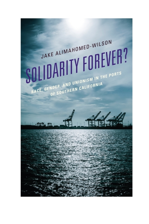 Cover image for book Solidarity Forever?