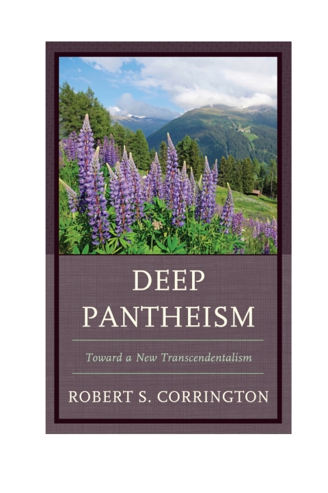 Cover image for book Deep Pantheism