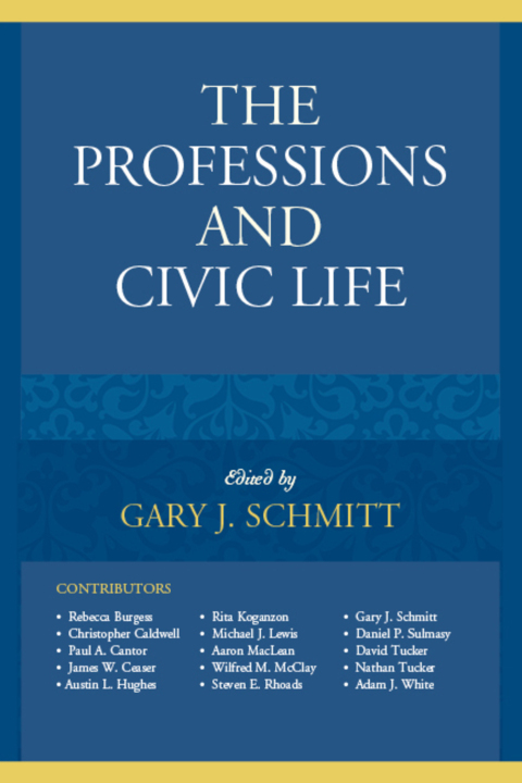 Cover image for book The Professions and Civic Life