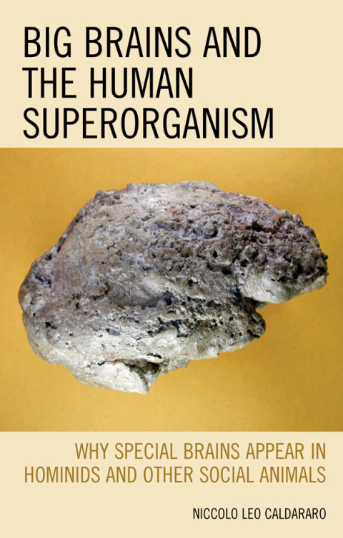 Cover image for book Big Brains and the Human Superorganism