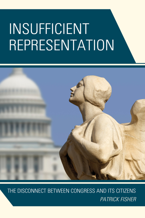 Cover image for book Insufficient Representation