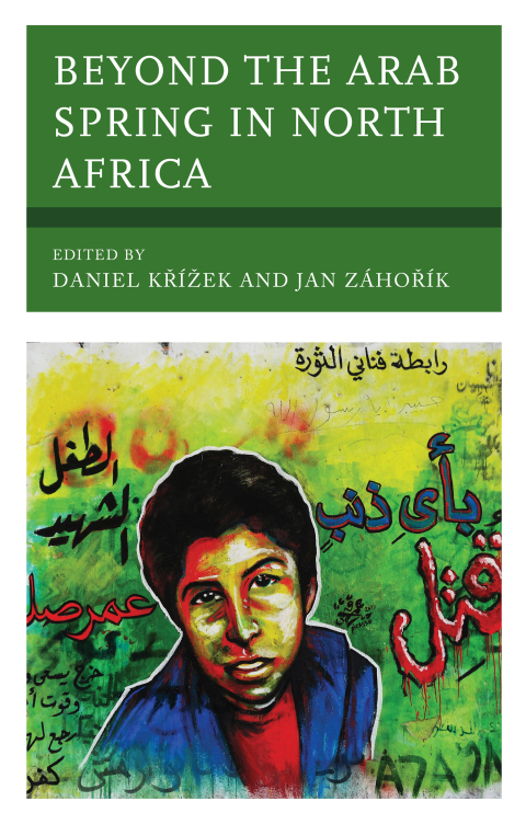 Cover image for book Beyond the Arab Spring in North Africa