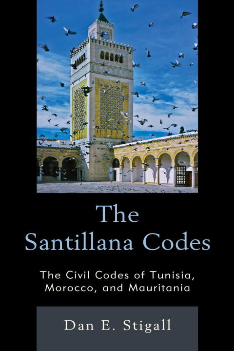 Cover image for book The Santillana Codes