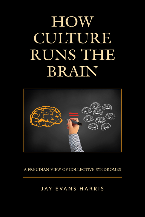 Cover image for book How Culture Runs the Brain