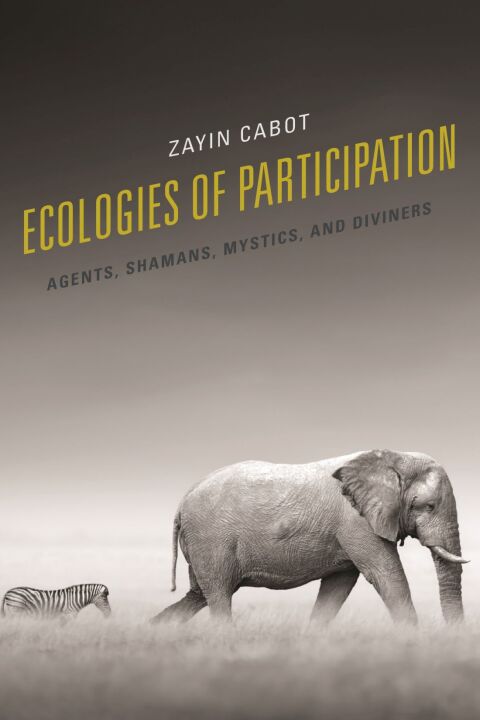Cover image for book Ecologies of Participation