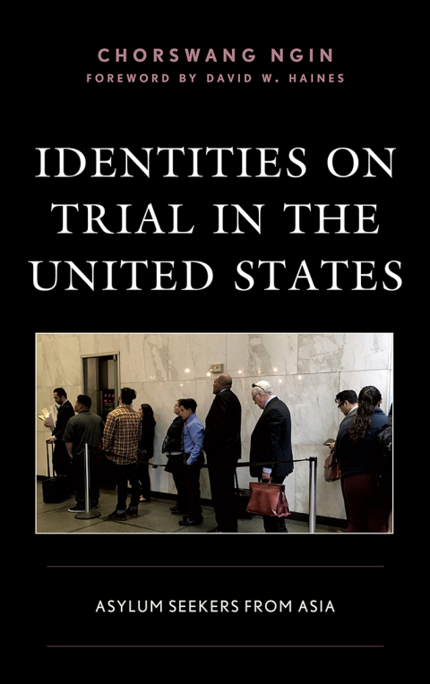 Cover image for book Identities on Trial in the United States