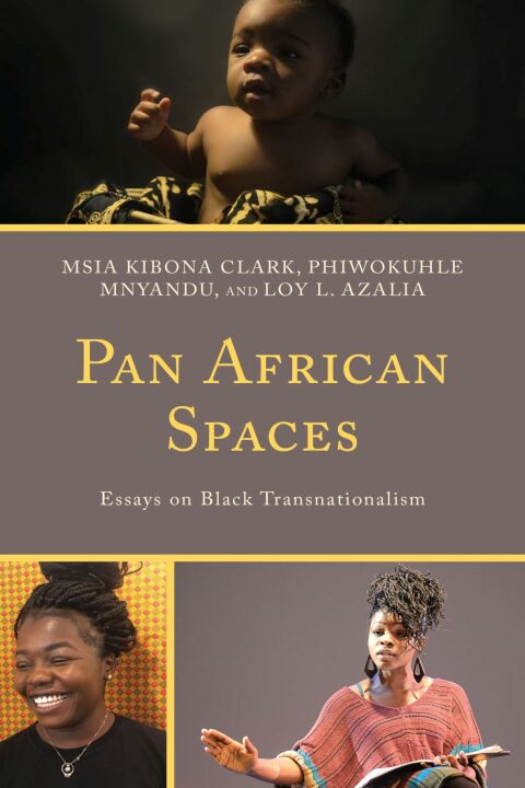 Cover image for book Pan African Spaces