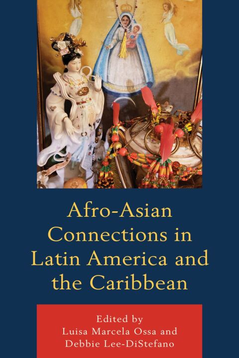 Cover image for book Afro-Asian Connections in Latin America and the Caribbean