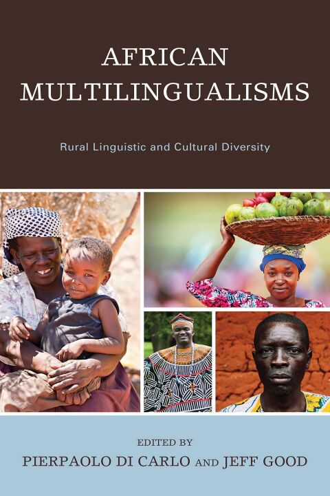 Cover image for book African Multilingualisms