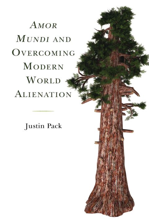 Cover image for book Amor Mundi and Overcoming Modern World Alienation
