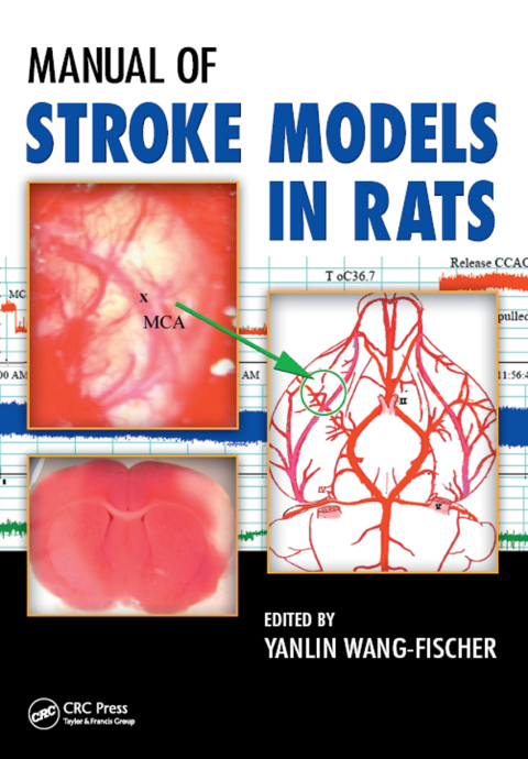 Cover image for book Manual of Stroke Models in Rats
