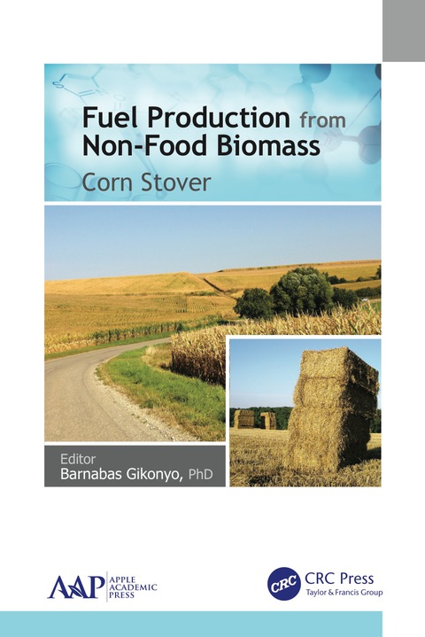 Cover image for book Fuel Production from Non-Food Biomass