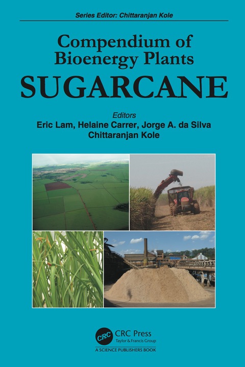 Cover image for book Compendium of Bioenergy Plants