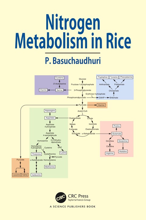 Cover image for book Nitrogen Metabolism in Rice