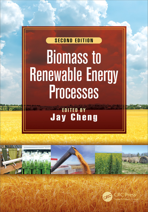 Cover image for book Biomass to Renewable Energy Processes