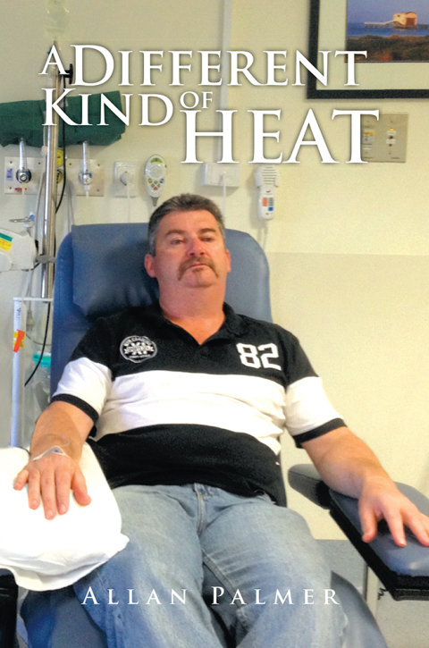 Cover image for book A Different Kind of Heat