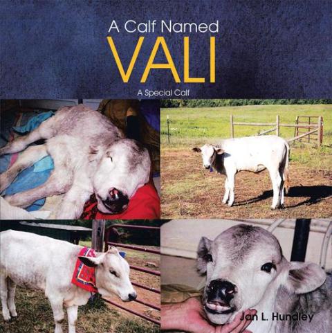 Cover image for book A Calf Named Vali