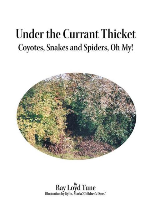 Cover image for book Under the Currant Thicket
