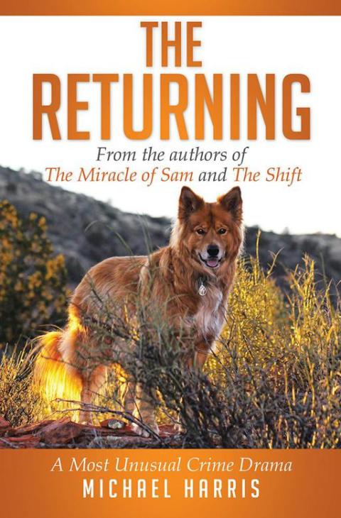 Cover image for book The Returning