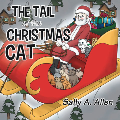 Cover image for book The Tail of the Christmas Cat