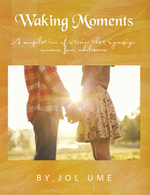 Cover image for book Waking Moments