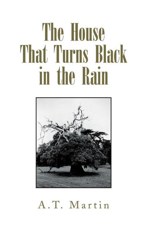 Cover image for book The House That Turns Black in the Rain