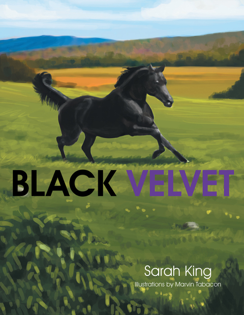 Cover image for book Black Velvet