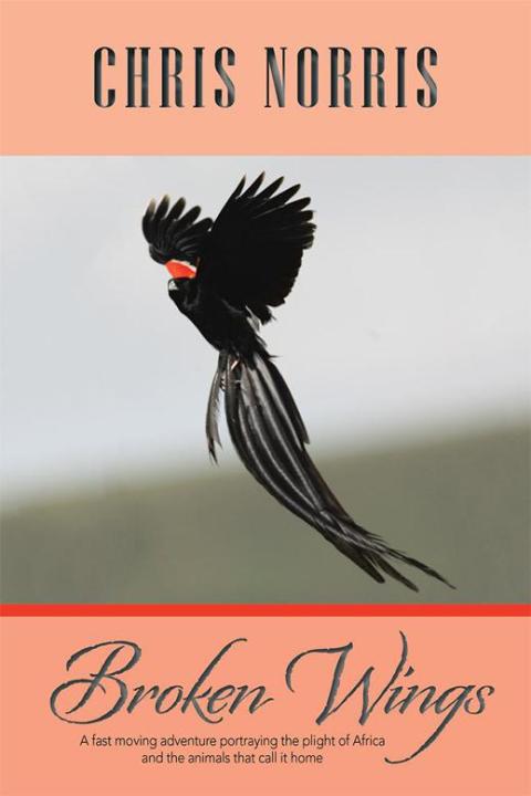 Cover image for book Broken Wings