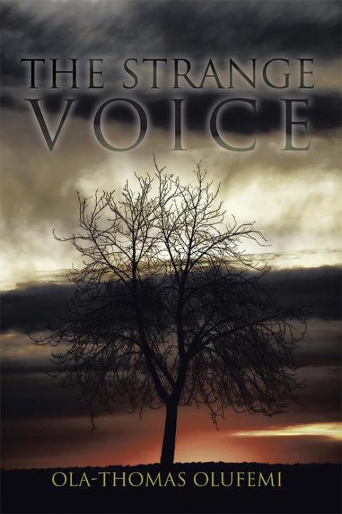Cover image for book The Strange Voice