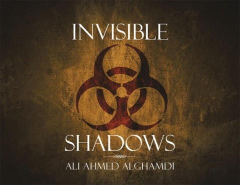 Cover image for book Invisible Shadows