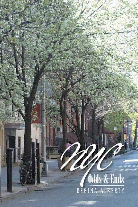Cover image for book Nyc Odds & Ends
