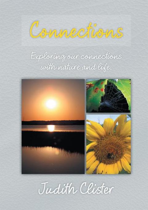 Cover image for book Connections