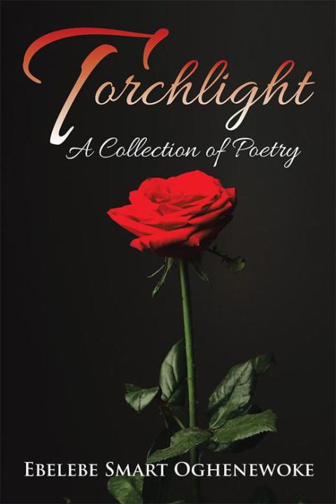 Cover image for book Torchlight
