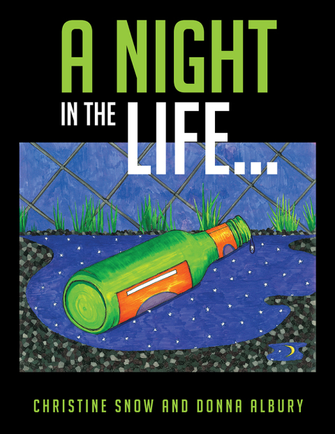 Cover image for book A Night in the Life...