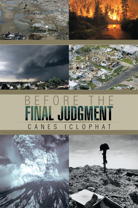 Cover image for book Before the Final Judgment
