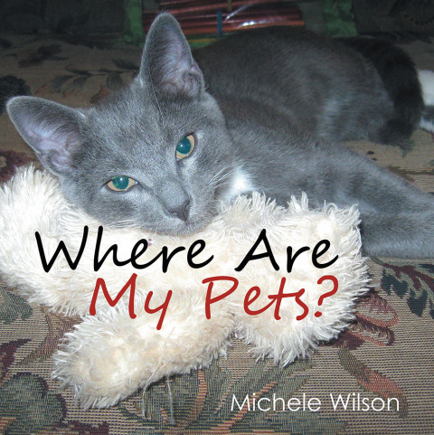 Cover image for book Where Are My Pets?