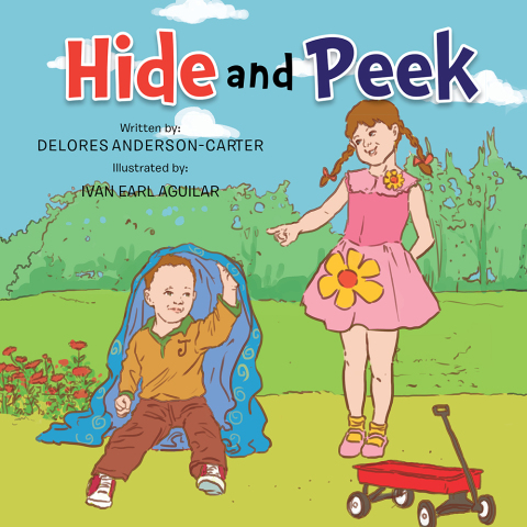 Cover image for book Hide and Peek
