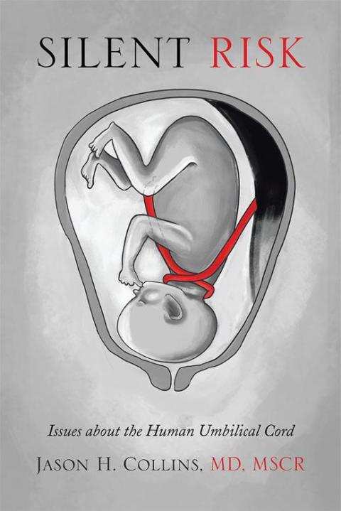 Cover image for book Silent Risk