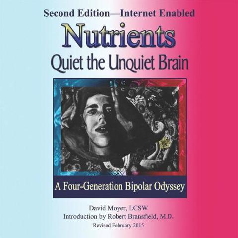 Cover image for book Nutrients Quiet the Unquiet Brain