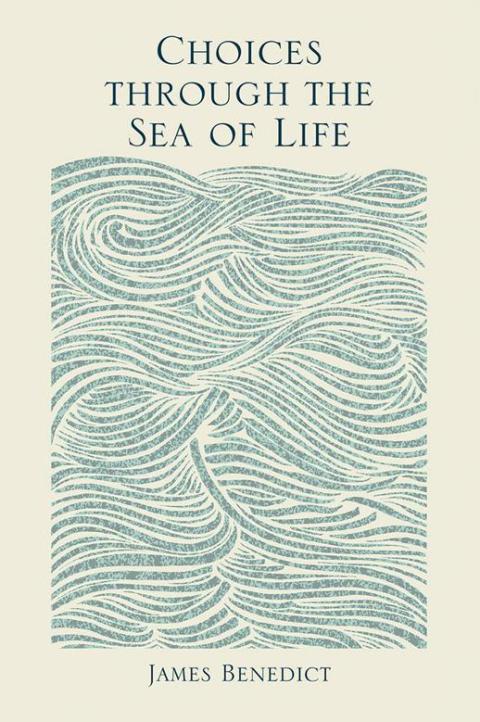 Cover image for book Choices Through the Sea of Life