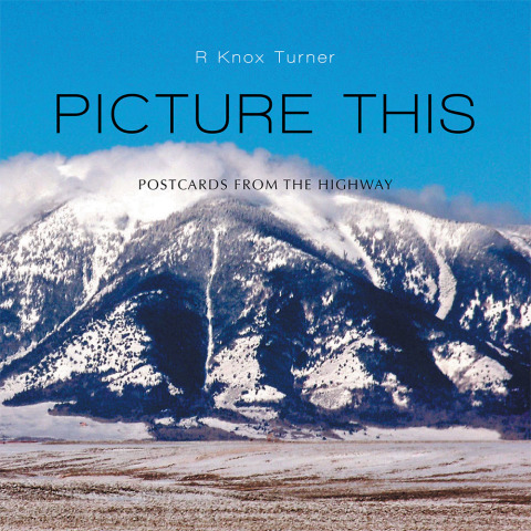 Cover image for book Picture This