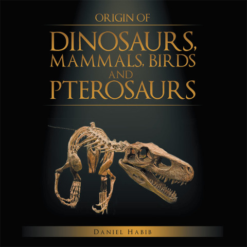 Cover image for book Origin of Dinosaurs, Mammals, Birds and Pterosaurs
