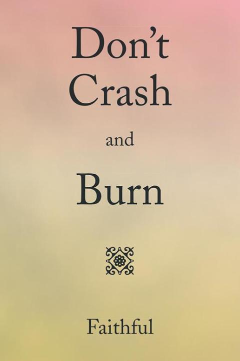 Cover image for book Don’T Crash and Burn