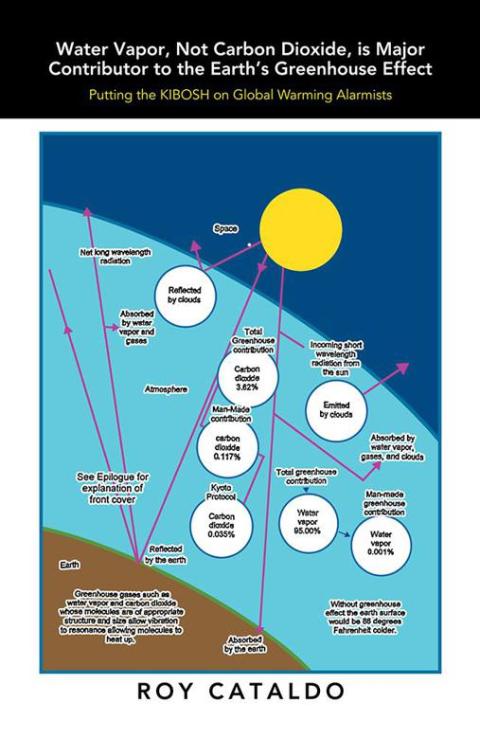Cover image for book Water Vapor, Not Carbon Dioxide, Is Major Contributor to the Earth's Greenhouse Effect