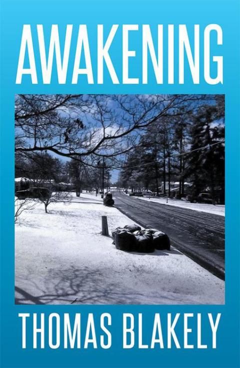 Cover image for book Awakening