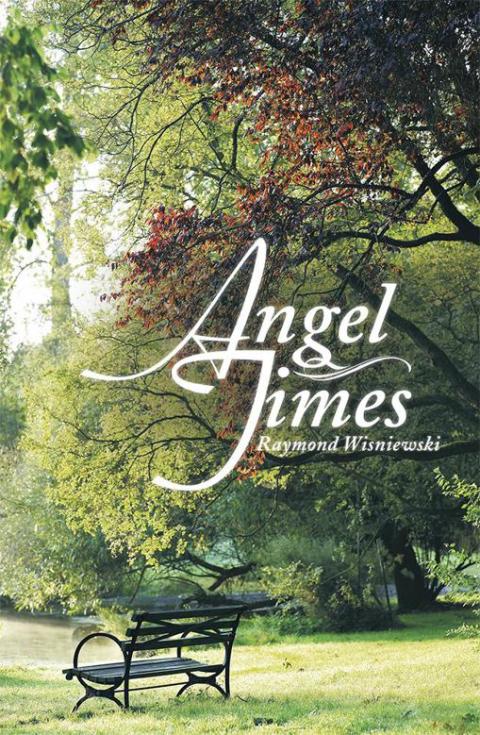 Cover image for book Angel Times