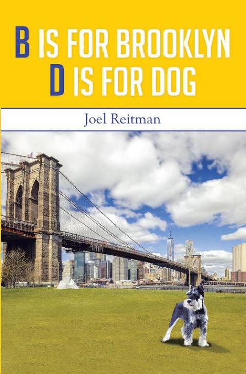Cover image for book B Is for Brooklyn - D Is for Dog