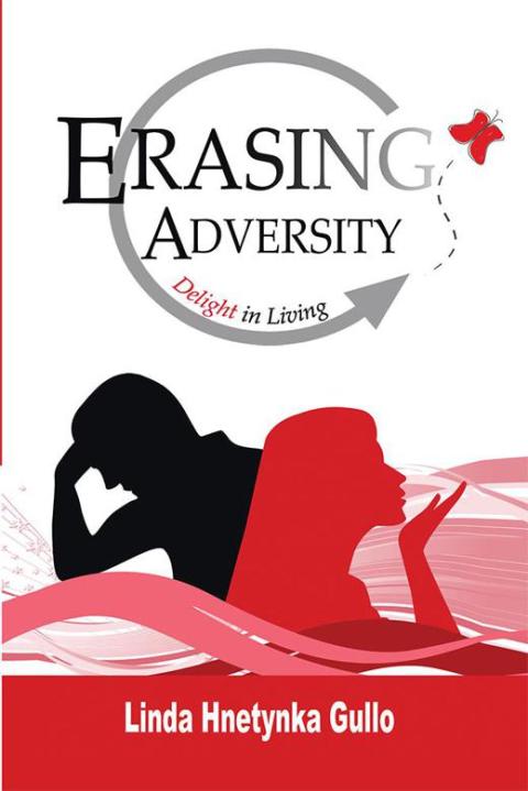 Cover image for book Erasing Adversity