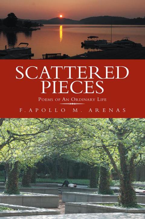 Cover image for book Scattered Pieces
