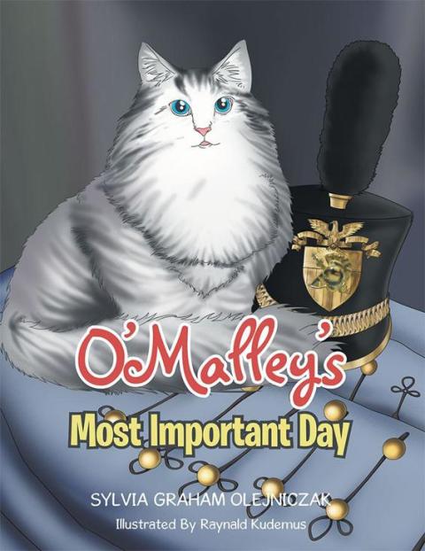 Cover image for book O'malley's Most Important Day